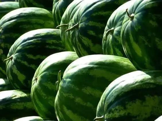 夏天是吃西瓜的好时候!瓜农不外传的挑选西瓜的方法 「四看一听」准挑到好瓜!