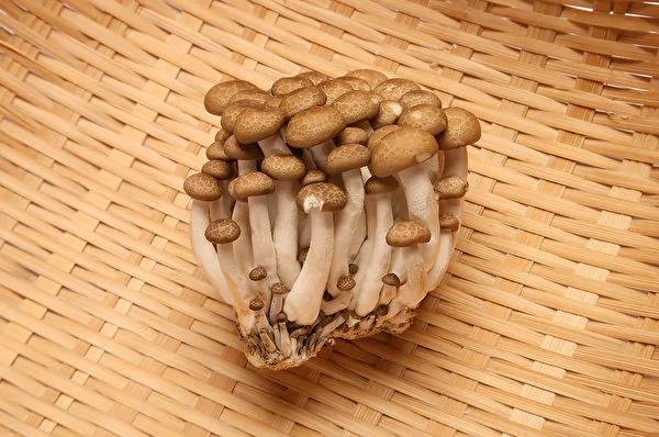 蔬果 肉类和海鲜 1篇看懂常见食材保存秘诀