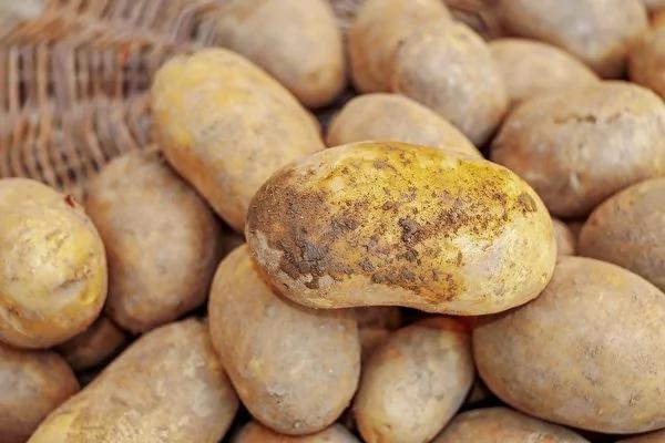 蔬果 肉类和海鲜 1篇看懂常见食材保存秘诀
