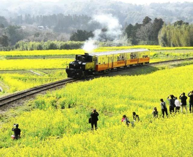 日本10大轨道列车 一场绝景震撼之旅!