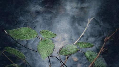 人到老年 别活的那么累 句句经典 一定要看!