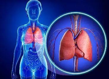经常11点后睡觉 肝脏积毒排不出 小心4种大病找上你 教你5招护好肝!
