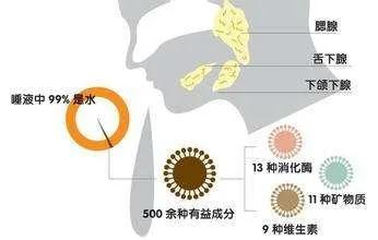 心为汗 肺为涕 肝为泪 脾为涎 肾为唾 从五液看人体健康