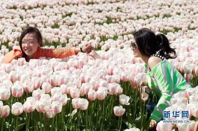 室内盆栽卧室植物摆放红黑榜!你家或许也有 赶紧处理…