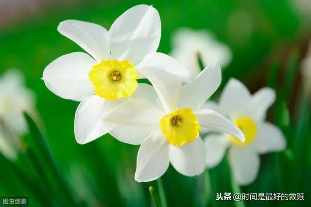 人这一生 这几件傻事 不要做!