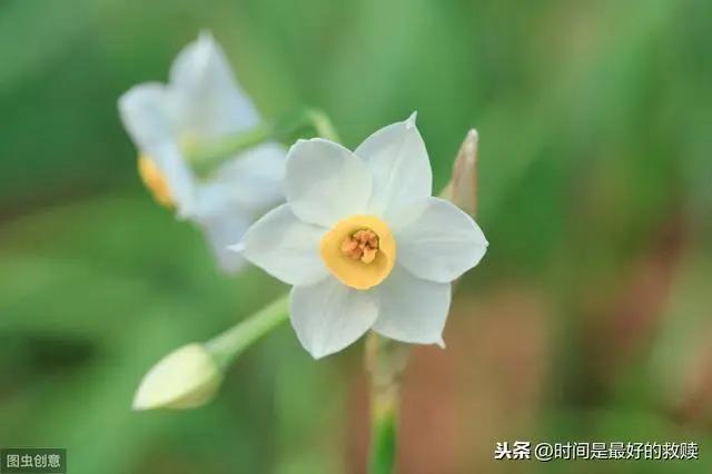 人这一生 这几件傻事 不要做!
