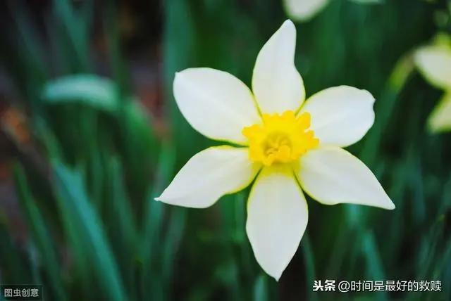 人这一生 这几件傻事 不要做!