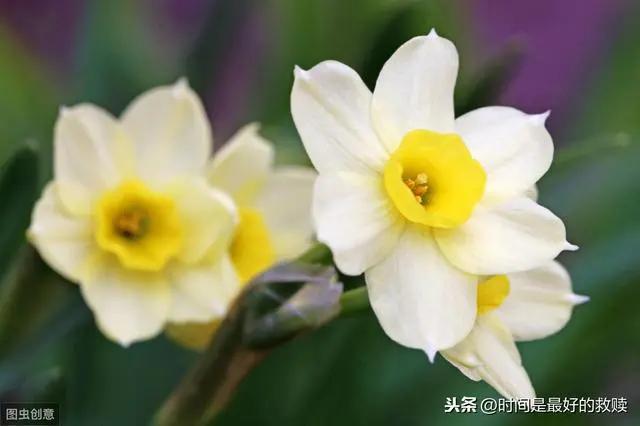 人这一生 这几件傻事 不要做!