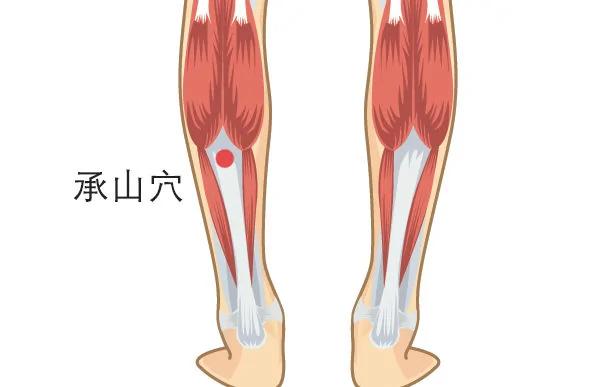 身体6个穴位 帮你轻松去湿排毒