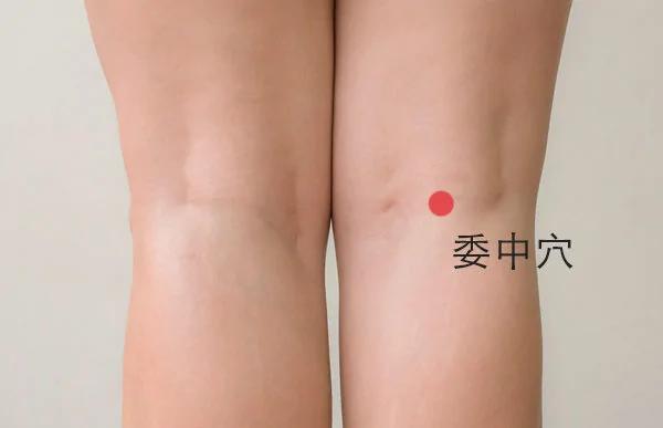 身体6个穴位 帮你轻松去湿排毒
