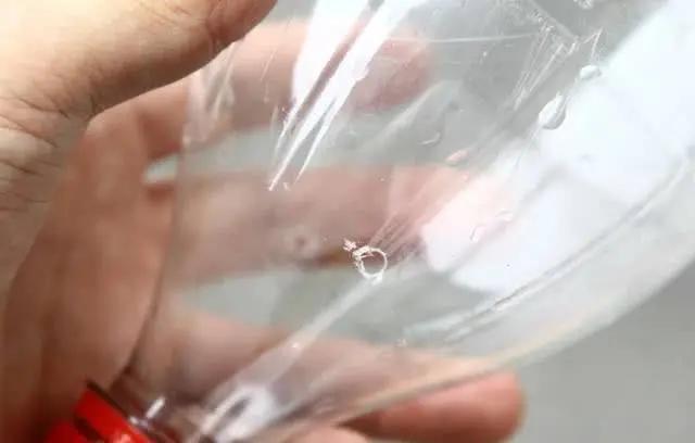 谁还买菜啊 学她这样做 不占地方不用土 省下一年买菜钱