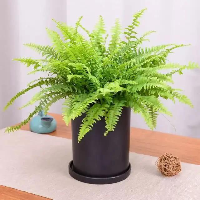 20190522032931178