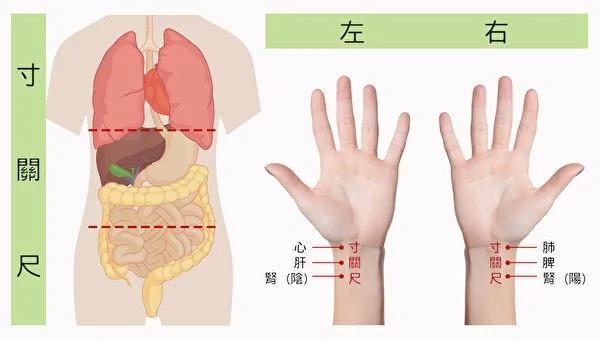 气血不平易晕 简单一法看气血是否平衡