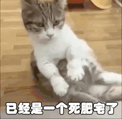 旅行居然能治病!看完发现真的该去旅行了!