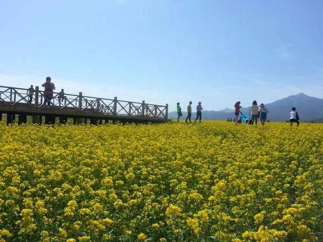 旅行居然能治病!看完发现真的该去旅行了!