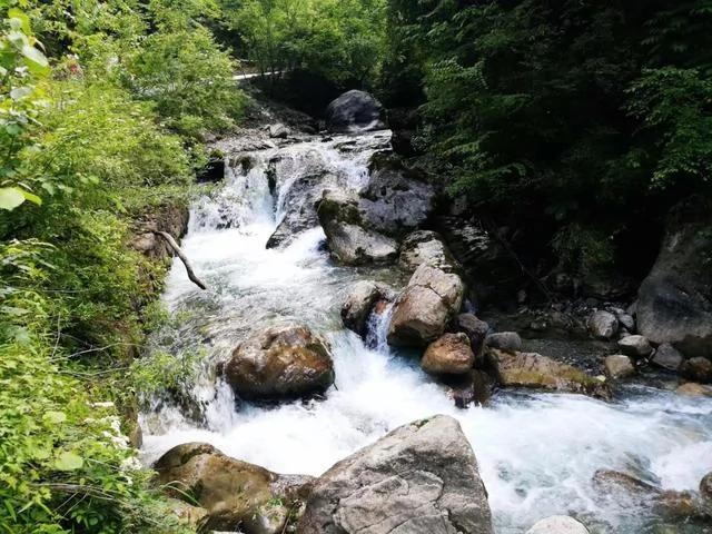 旅行居然能治病!看完发现真的该去旅行了!