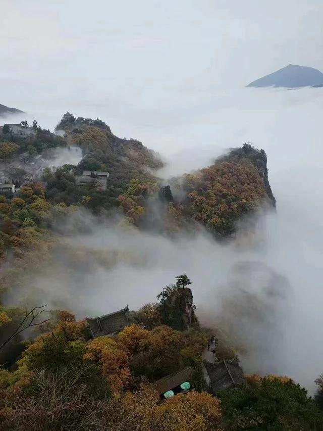 旅行居然能治病!看完发现真的该去旅行了!