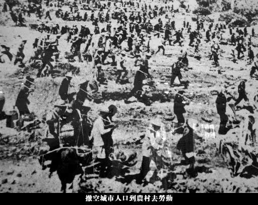 最“纯正”的共产主义政权——红色高棉杀人史