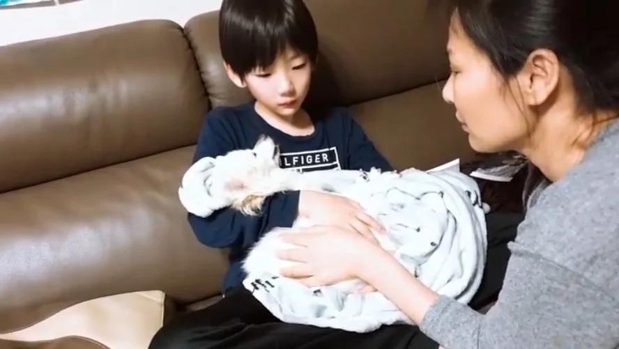 小主人紧抱16岁狗狗”陪它走到生命终点,“看它阖眼”瞬间崩溃大哭“!
