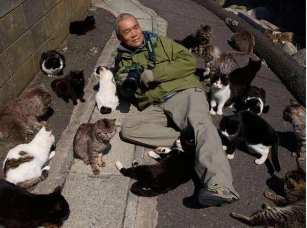 小奶猫不怕摄影师 一直往他头上爬 最后一幕让猫奴都超羡慕!