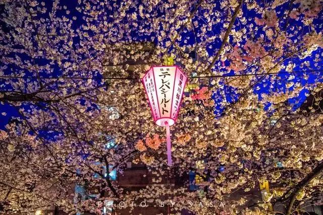 旅游最安全的10个国家排名!