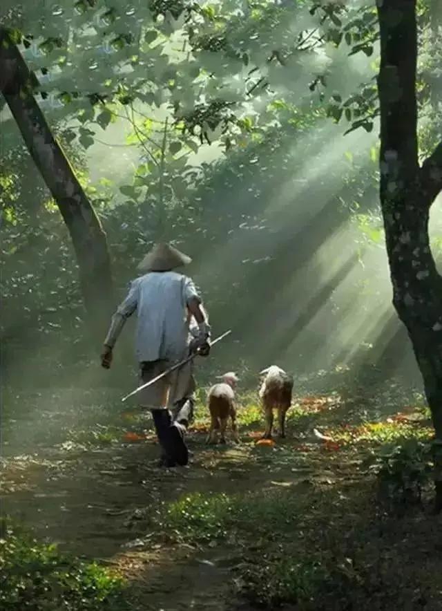 请活好 你的下半辈子(深度好文)