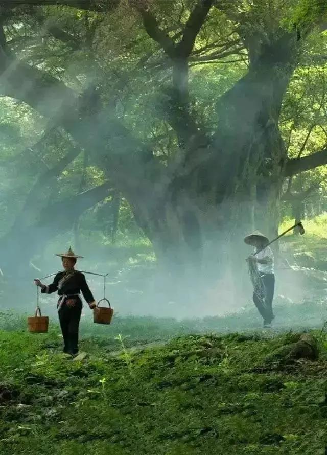 请活好 你的下半辈子(深度好文)