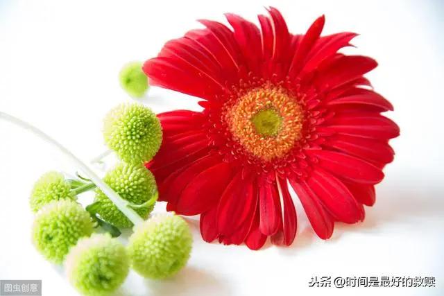 人生拥有了五个好 你就是个幸福的人!