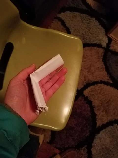 猫咪散步回家「带了张纸条」?主人打开秒笑翻:你对邻居的浴缸做了什么
