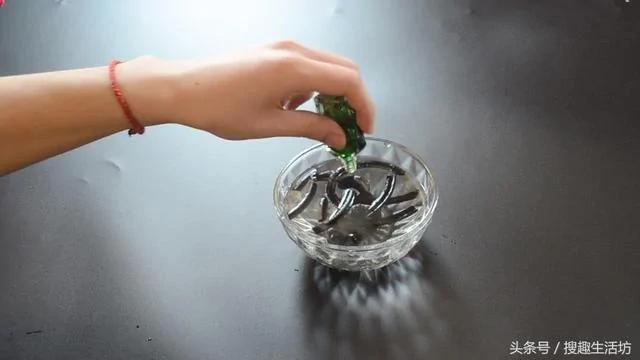 蚊香放在水里泡一泡 没想到作用这么大 解决了家家户户的困扰