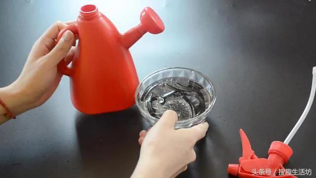 蚊香放在水里泡一泡 没想到作用这么大 解决了家家户户的困扰
