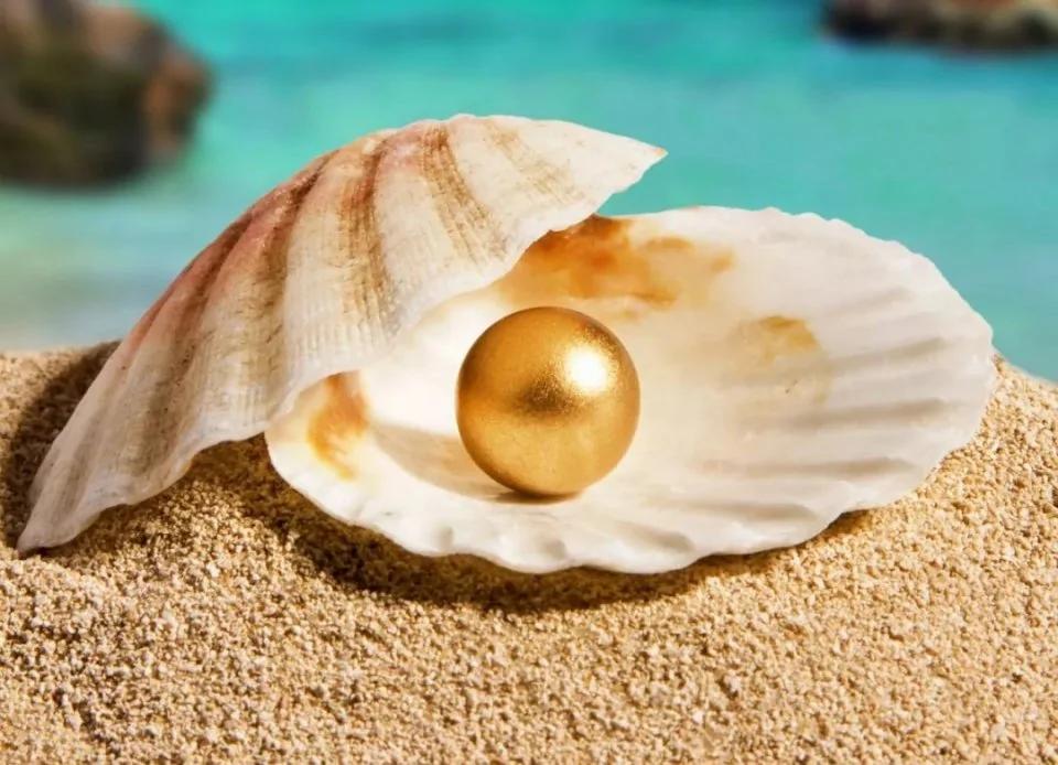 Couple Finds Pearl That Could Be Worth Thousands in Clam at NJ