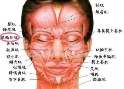 "左眼跳财~右眼跳灾"新解