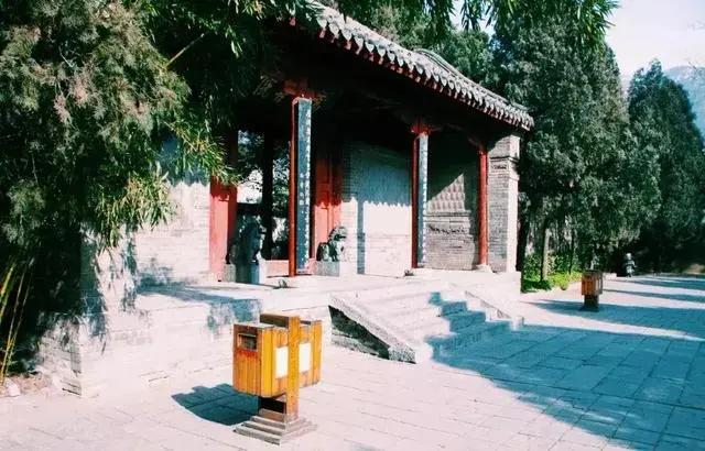 导游曝光:这才是去中国旅游的内幕 收藏了!
