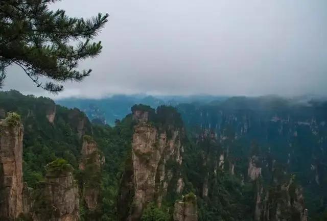 导游曝光:这才是去中国旅游的内幕 收藏了!