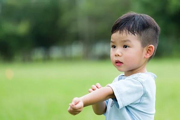蚊虫叮咬后瘙痒疼痛?12种自然疗法 功效神奇