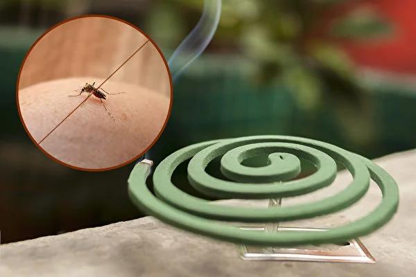 常见4大防蚊物品用对了吗?这样用驱蚊最有效