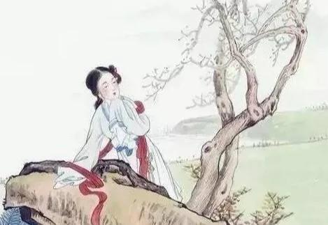 智者 四不谋!(深度好文)