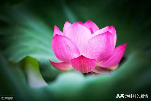 尺有所短 寸有所长 以一颗谦卑心看身边人 以一颗恭敬心看身边事!