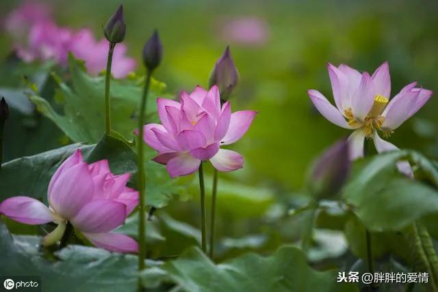 尺有所短 寸有所长 以一颗谦卑心看身边人 以一颗恭敬心看身边事!