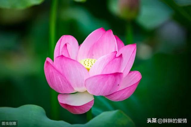 尺有所短 寸有所长 以一颗谦卑心看身边人 以一颗恭敬心看身边事!