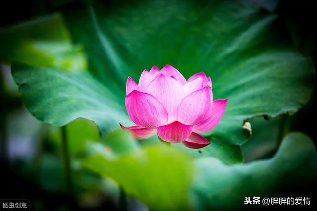 尺有所短 寸有所长 以一颗谦卑心看身边人 以一颗恭敬心看身边事!