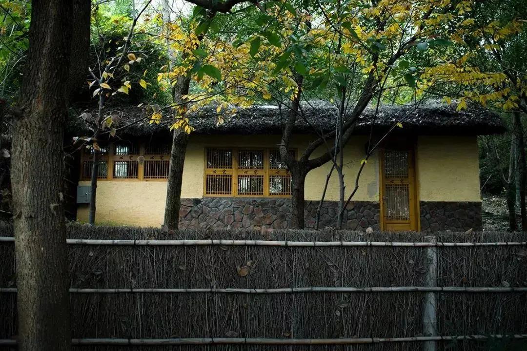 为什么老人常说“夏不坐木 冬不坐石”?
