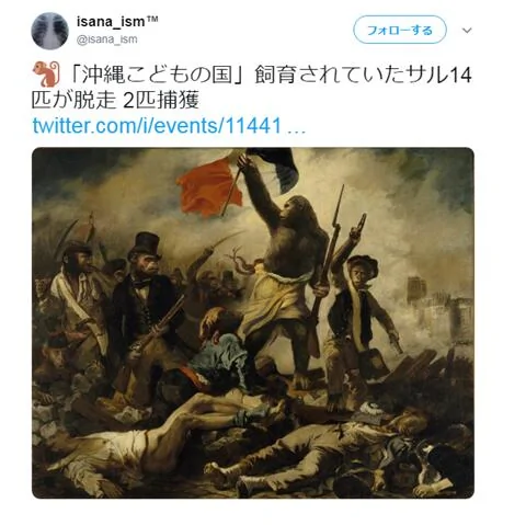 成精了动物园14只猴子拿钥匙开门逃跑 阿波罗新闻网
