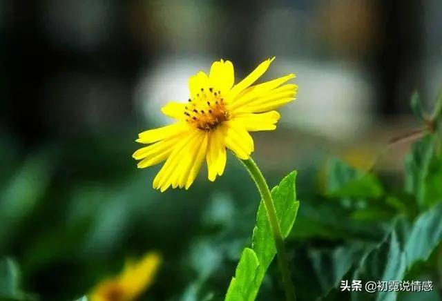 看不起你的人 会有这四个不经意“小动作” !