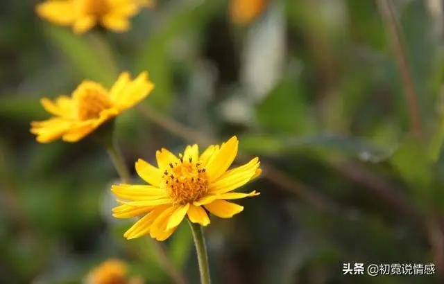 看不起你的人 会有这四个不经意“小动作” !