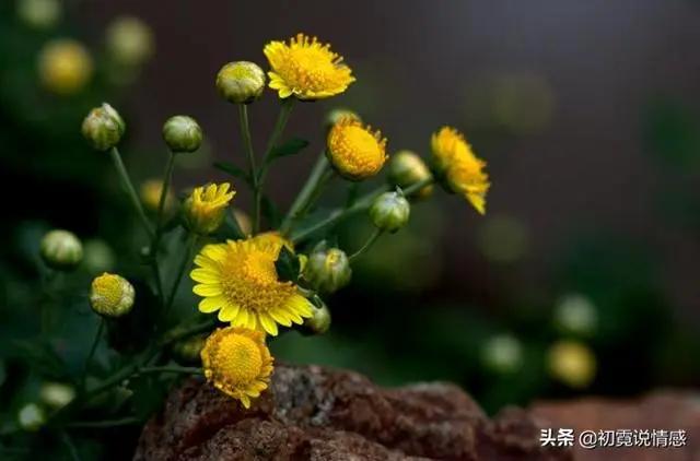 看不起你的人 会有这四个不经意“小动作” !