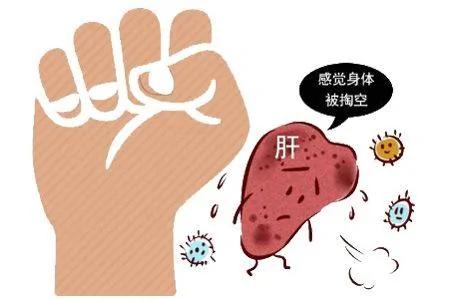 每个人都有一份“健康说明书” 不按规则走 心肝脾肺肾易遭破坏