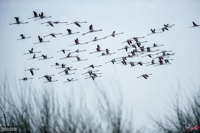 当你老了 一生最后悔的是什么?