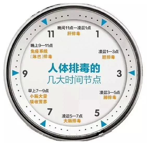 心、肝、脾、肺、肾的毒藏在哪里 你知道吗?